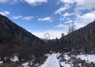 泰山队的8位外援引发羡慕!京沪3队白搭了,冠军毫无悬念